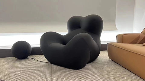 Black teddy sofa with ottoman lazy couch