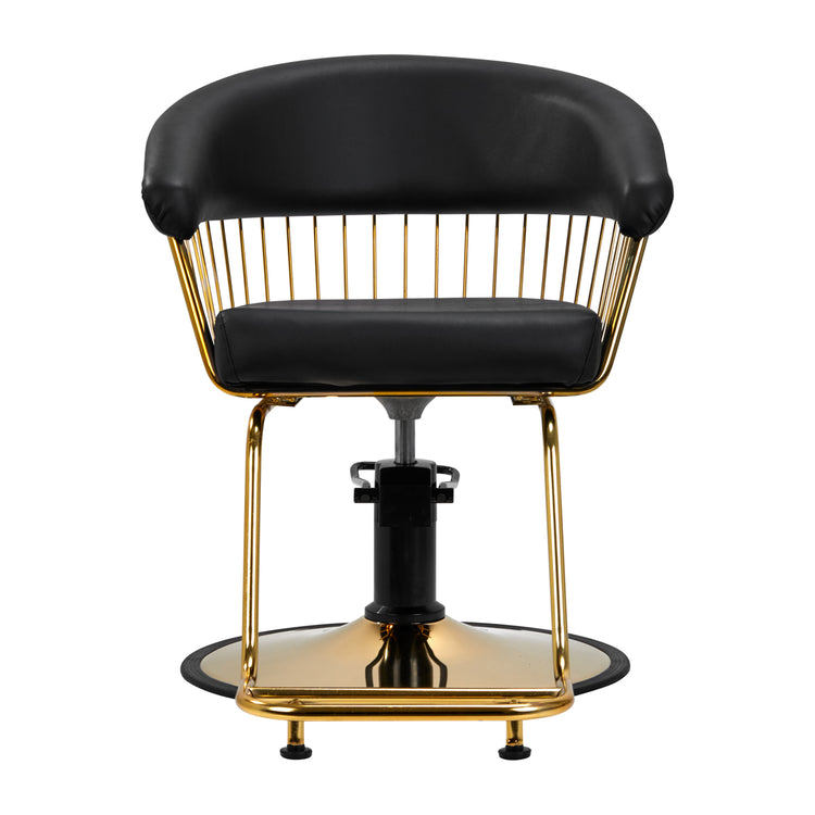 Salon Furniture